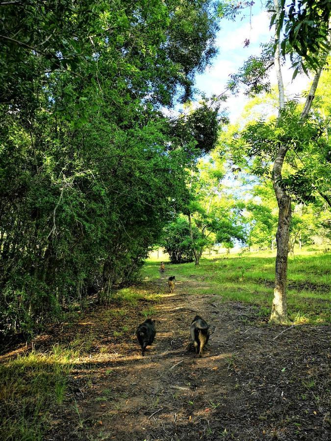 Fernhill Guest Farm Villa นิสนา ภายนอก รูปภาพ