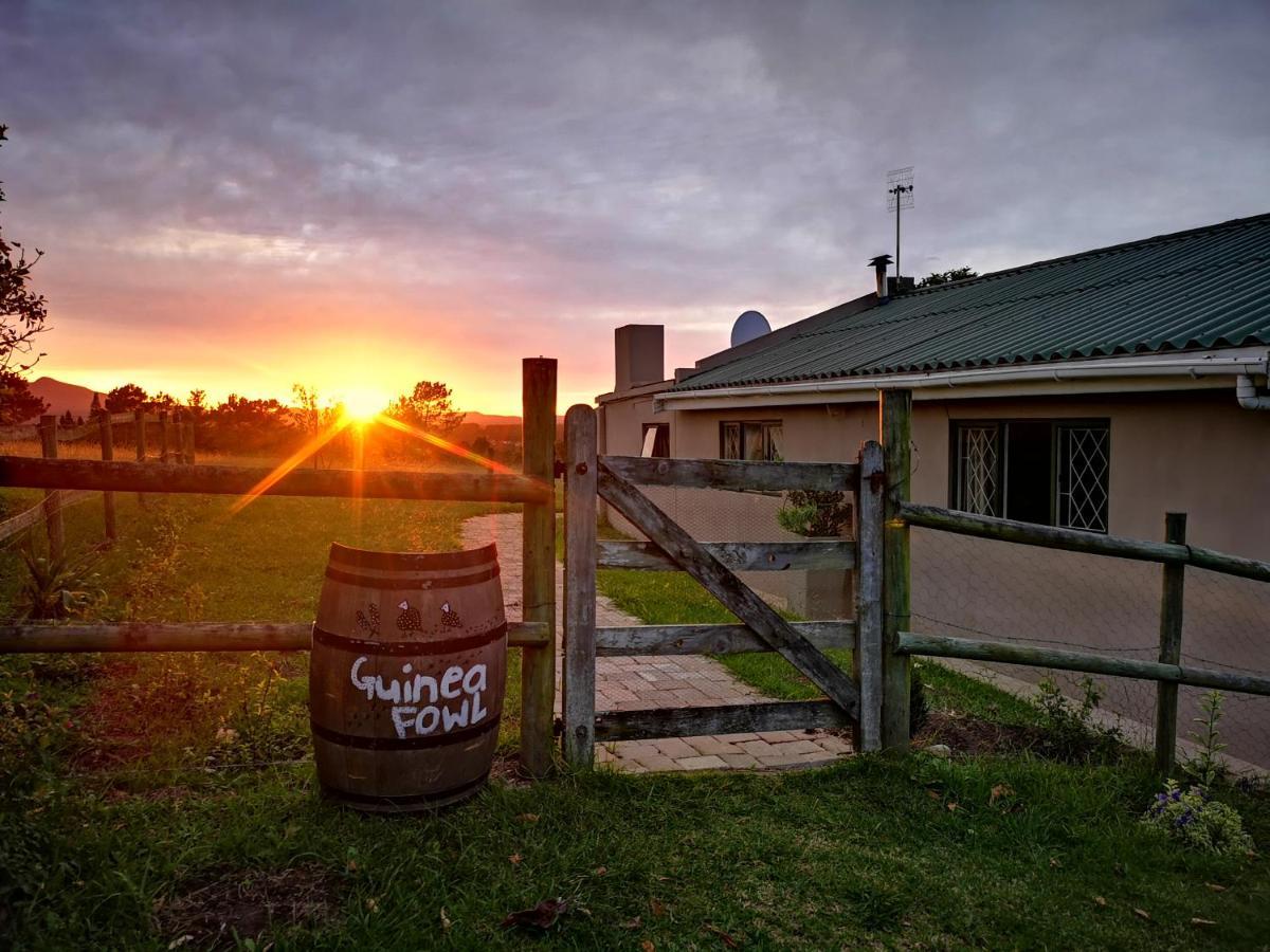 Fernhill Guest Farm Villa นิสนา ภายนอก รูปภาพ