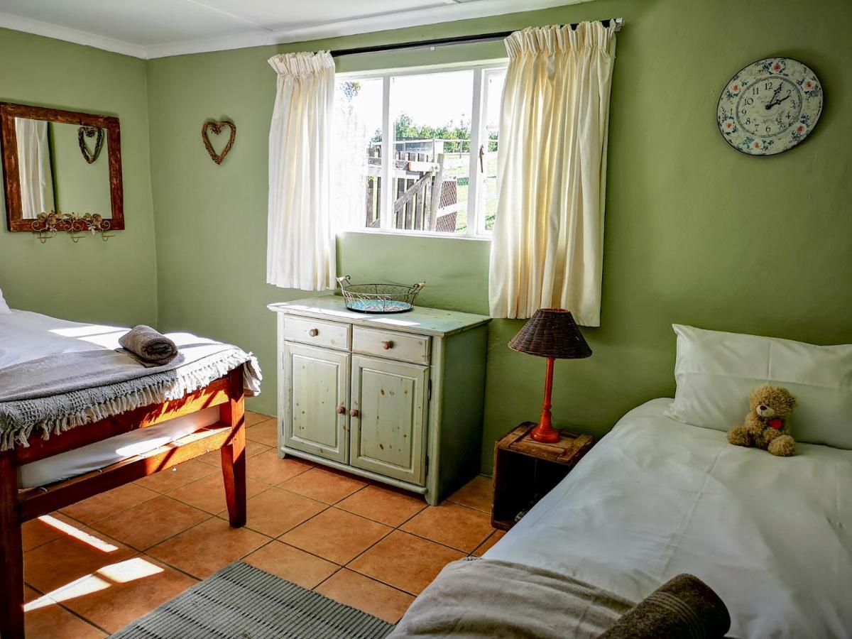 Fernhill Guest Farm Villa นิสนา ภายนอก รูปภาพ
