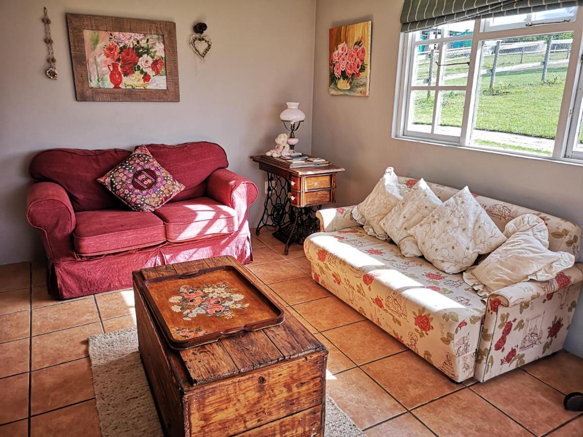 Fernhill Guest Farm Villa นิสนา ภายนอก รูปภาพ