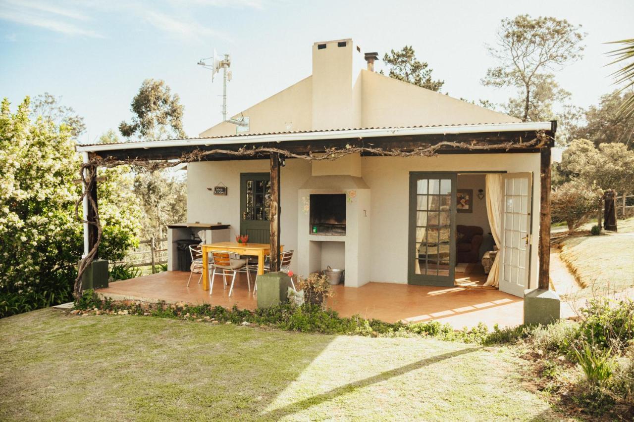 Fernhill Guest Farm Villa นิสนา ภายนอก รูปภาพ