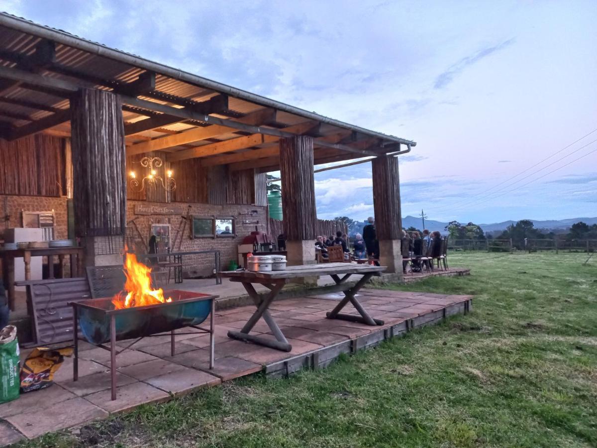 Fernhill Guest Farm Villa นิสนา ภายนอก รูปภาพ