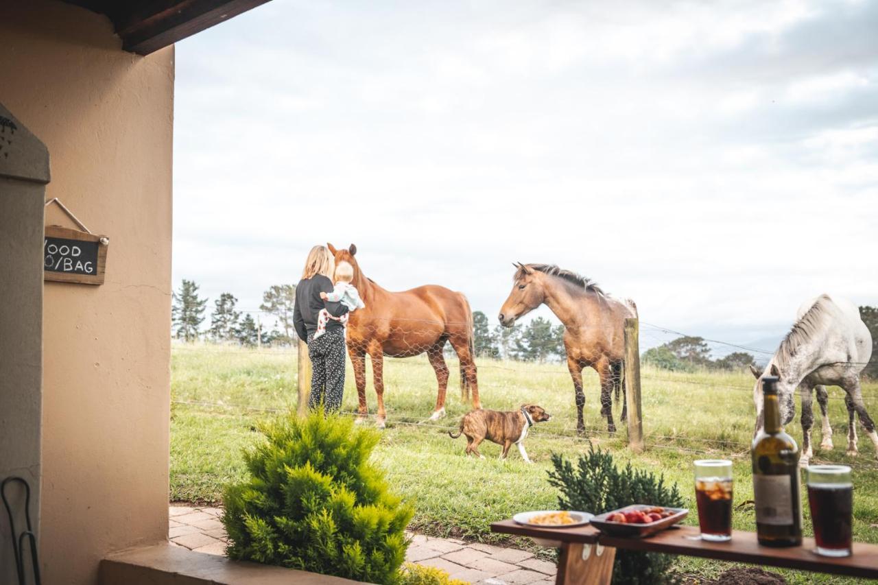 Fernhill Guest Farm Villa นิสนา ภายนอก รูปภาพ
