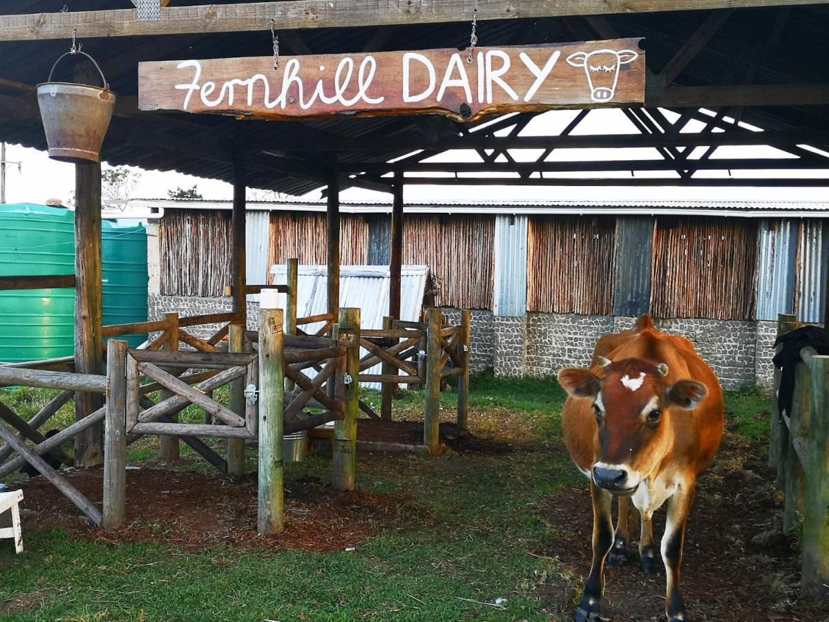 Fernhill Guest Farm Villa นิสนา ภายนอก รูปภาพ