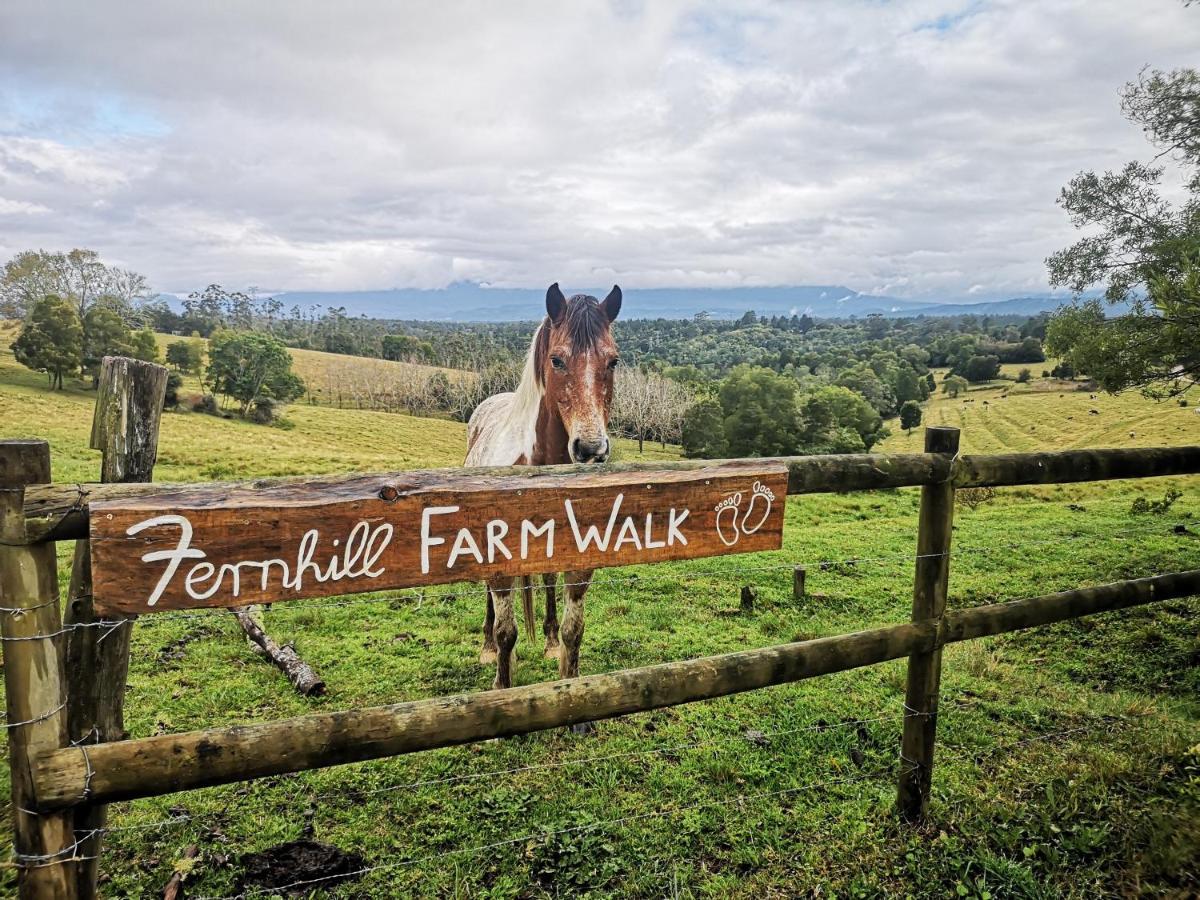 Fernhill Guest Farm Villa นิสนา ภายนอก รูปภาพ