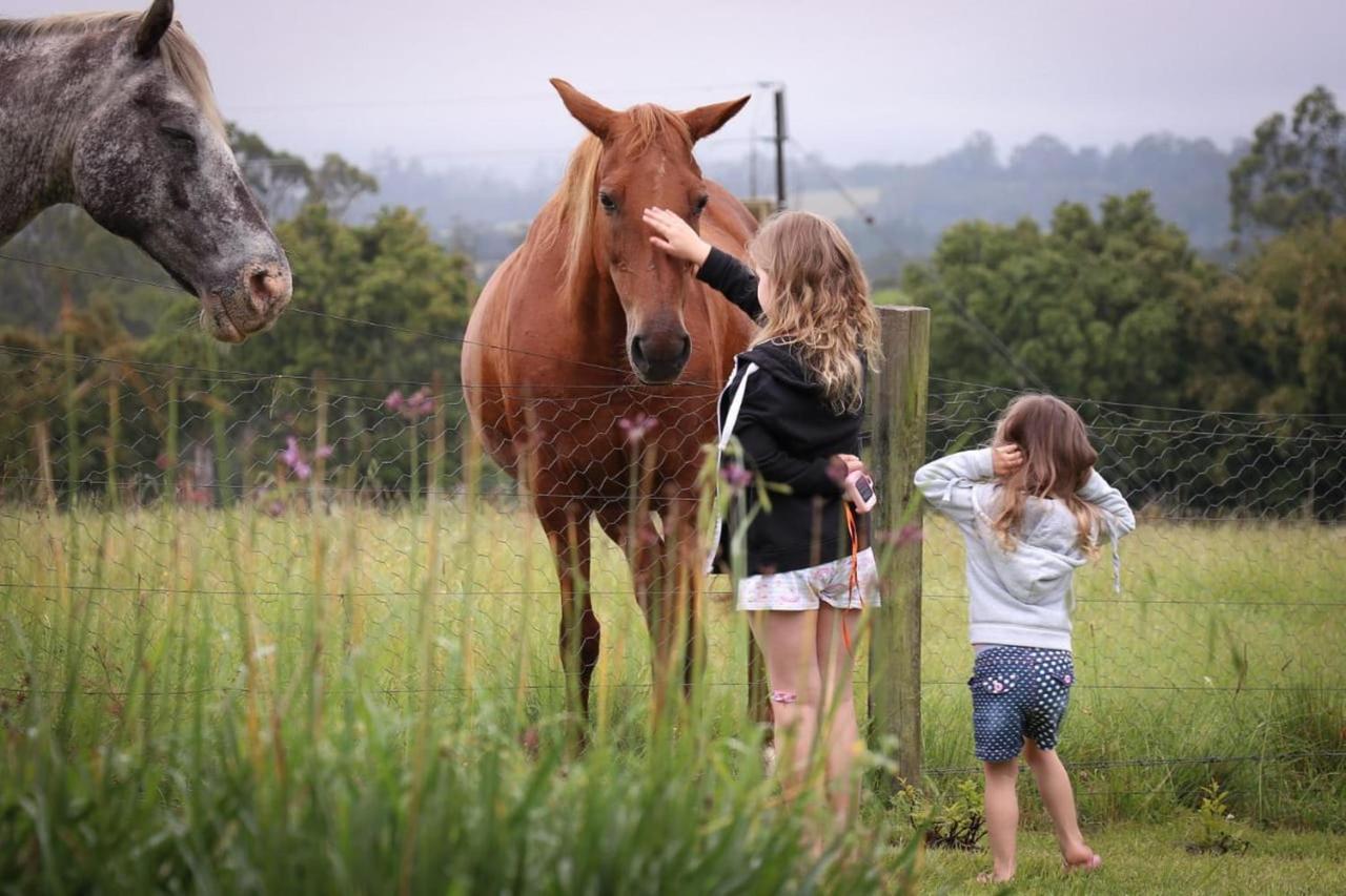 Fernhill Guest Farm Villa นิสนา ภายนอก รูปภาพ