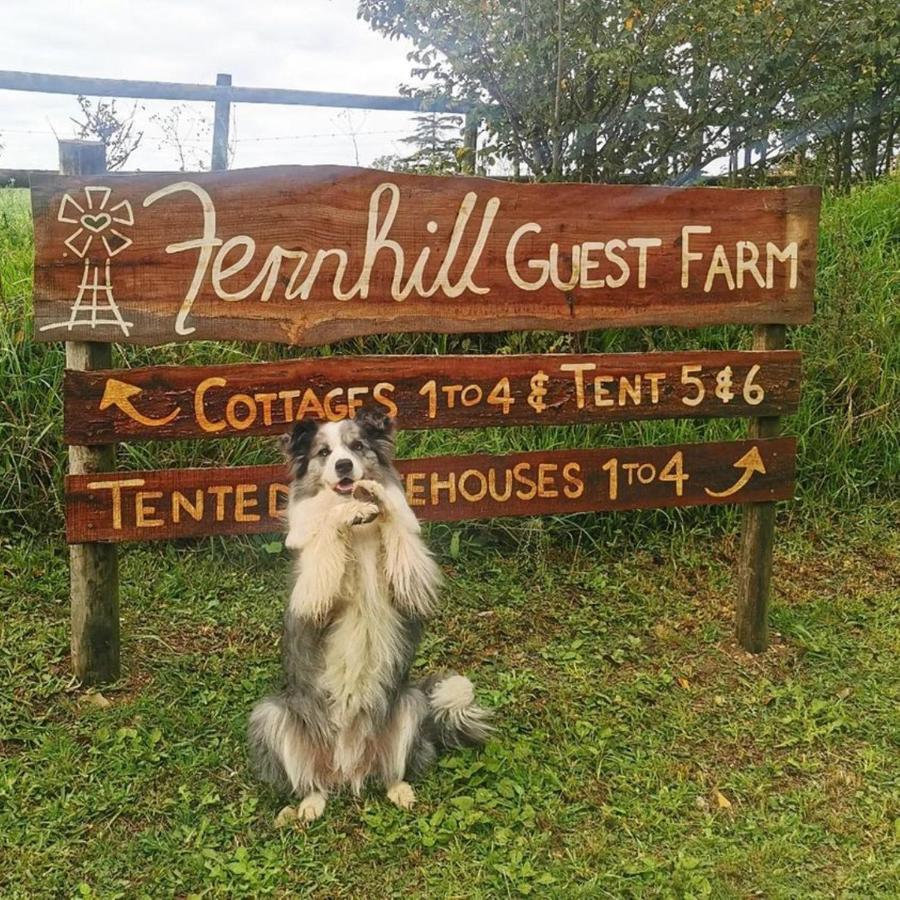 Fernhill Guest Farm Villa นิสนา ภายนอก รูปภาพ